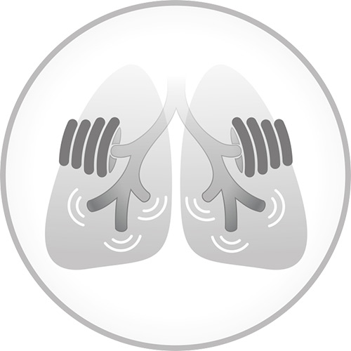 Icon RC Fit Oszillation Vibration