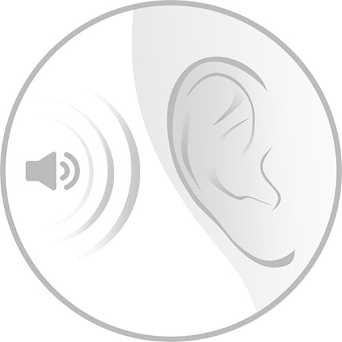 Icon RC Fit Vibration Ton