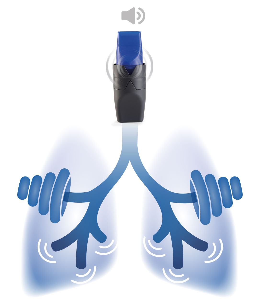 rc fit classic lunge hantel