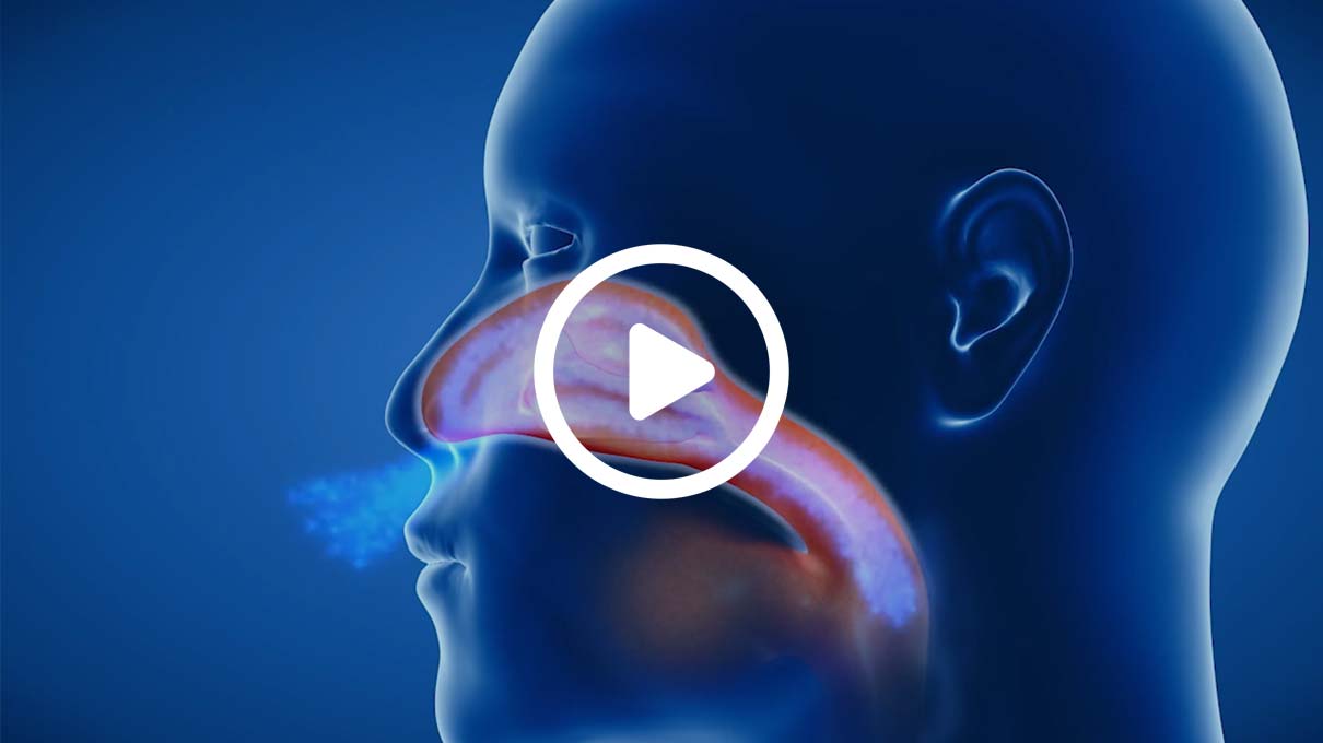 vt rc cornet plus nasal wirkprinzip 1