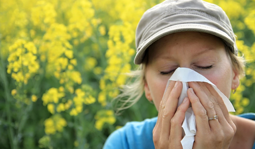 Frau mit Mütze niest in ein Taschentuch, umgeben von blühendem Raps.