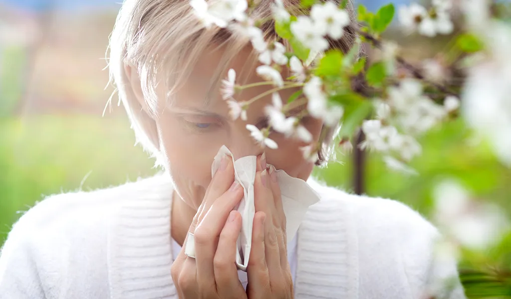 Asthma bronchiale – Ursachen